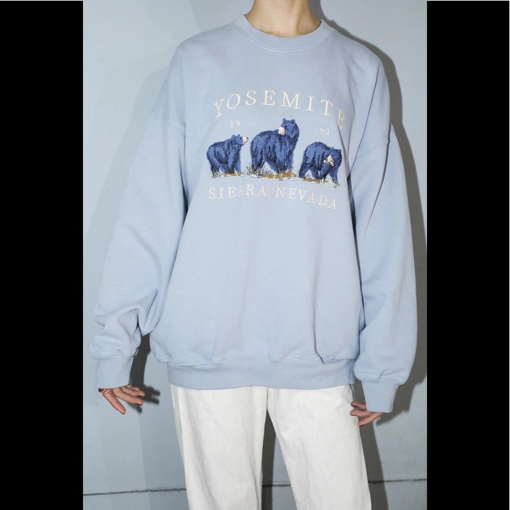 Brandy Melville Erica Nevada Yosemite sweatshirt